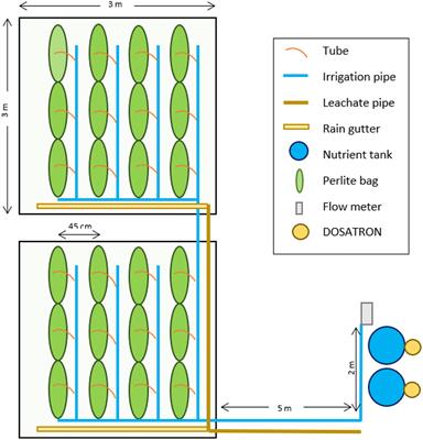 Agronomic and Environmental Assessment of a Polyculture Rooftop Soilless Urban Home Garden in a Mediterranean City